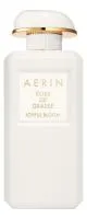 AERIN Rose De Grasse Joyful Bloom