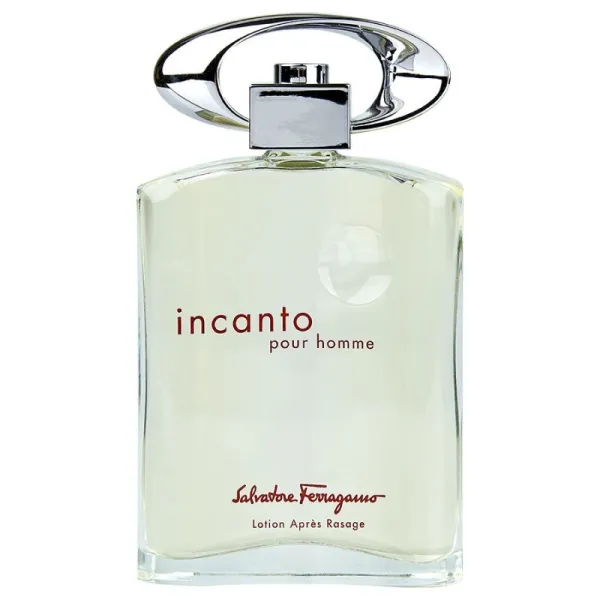 Salvatore Ferragamo Incanto pour Homme