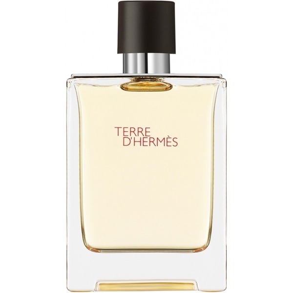 Hermes Terre d’