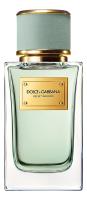 DOLCE  GABBANA Velvet Infusion