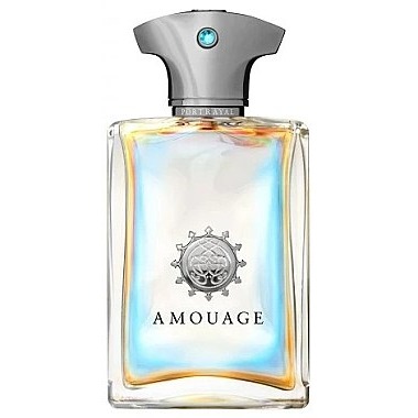 Amouage Portrayal Man