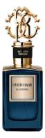 Roberto Cavalli Bloodiris