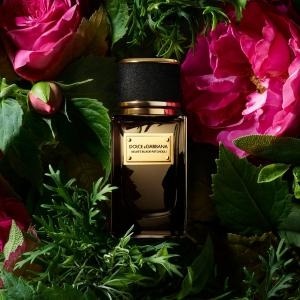 DOLCE  GABBANA Velvet Black Patchouli