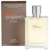 Hermes Terre d' Eau Givree