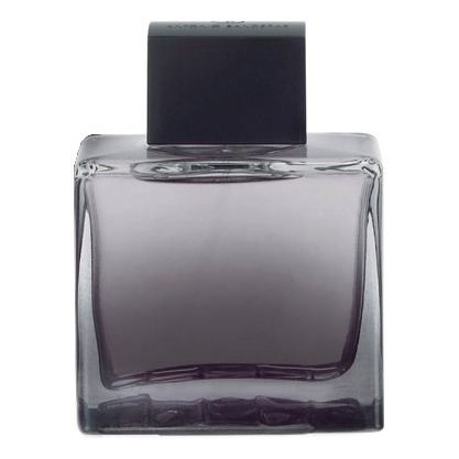 Antonio Banderas Seduction in Black