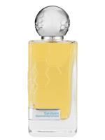 Hormone Paris Serotonin