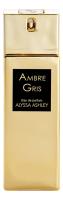 Alyssa Ashley Ambre Gris