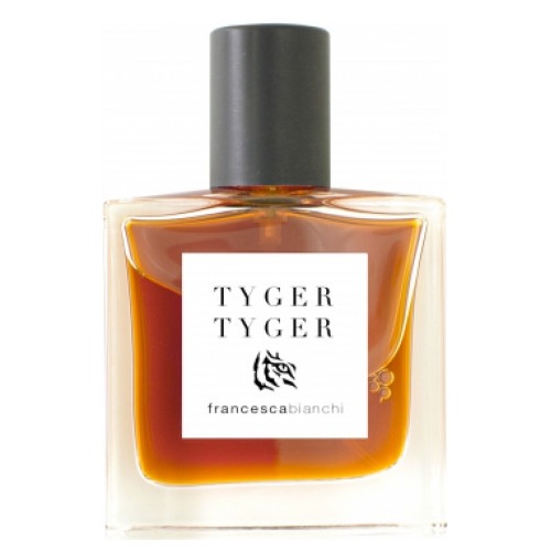 Francesca Bianchi Tyger Tyger