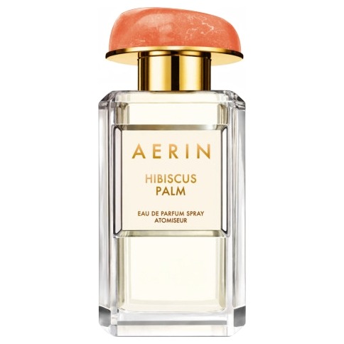 AERIN Hibiscus Palm