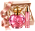 Seturi