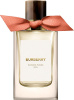 Burberry Garden Roses