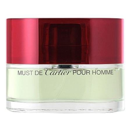 Cartier Must de  Pour Homme