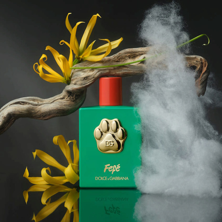 DOLCE & GABBANA Fefe
