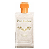 Paul Emilien Carrousel