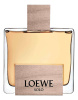 Loewe Solo Loewe Cedro