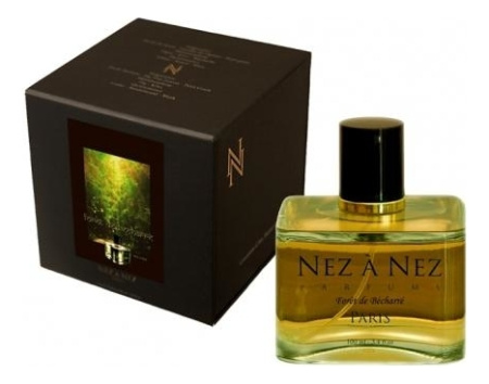Nez a Nez Foret De Becharre