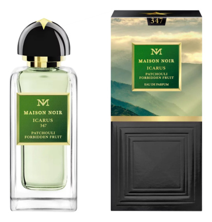 Maison Noir Icarus 347