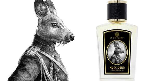 Zoologist Perfumes Musk Deer