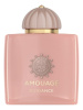 Amouage Guidance