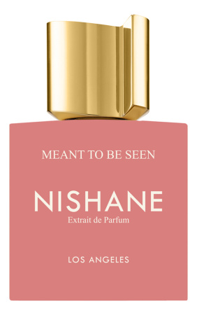 NISHANE Meant To Be Seen