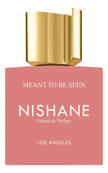 NISHANE Meant To Be Seen