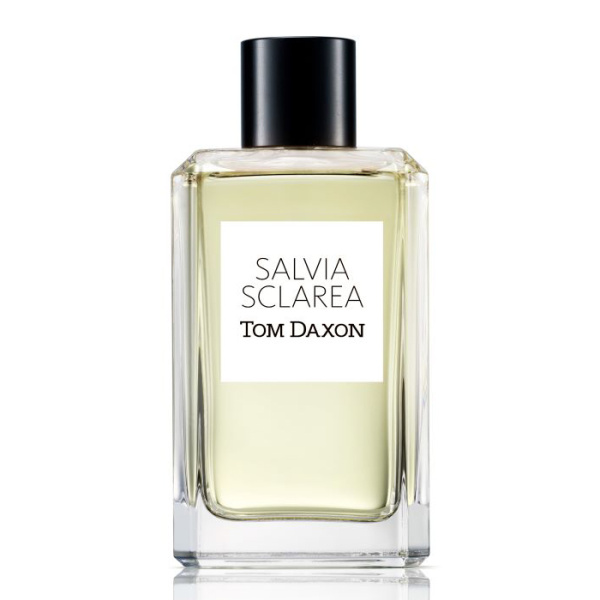 Tom Daxon Salvia Sclarea