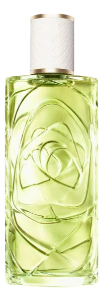 Lancome Off Now
