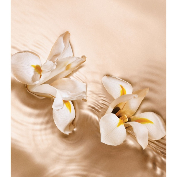 Jimmy Choo Iris Crush — женские духи, фото