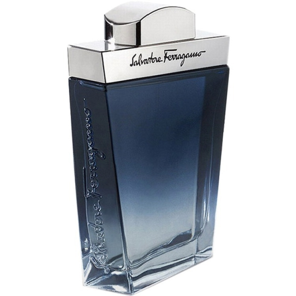 Salvatore Ferragamo Subtil Pour Homme