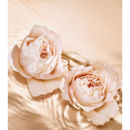 Jimmy Choo Tempting Rose — женские духи, фото