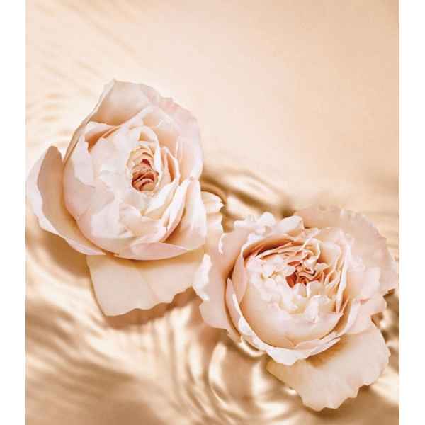Jimmy Choo Tempting Rose — женские духи, фото