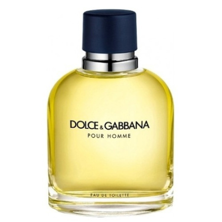 DOLCE  GABBANA Pour Homme