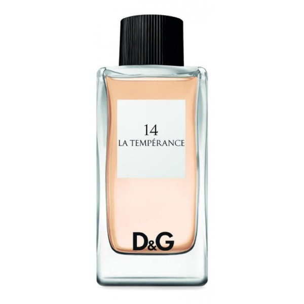 DOLCE  GABBANA La Temperance 14