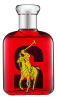 Ralph Lauren Big Pony 2