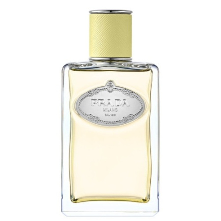 Prada Infusion De Gingembre
