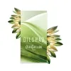 Pierre Guillaume Dilshad 17.1