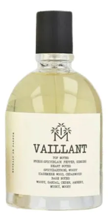 Moudon Vaillant
