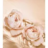 Jimmy Choo Tempting Rose — женские духи, фото