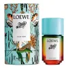 Loewe Paula's Ibiza